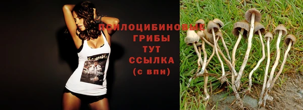 мескалин Балахна